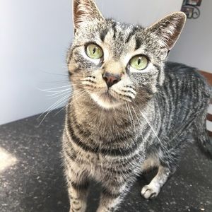 Meet your Posher, Alexandra